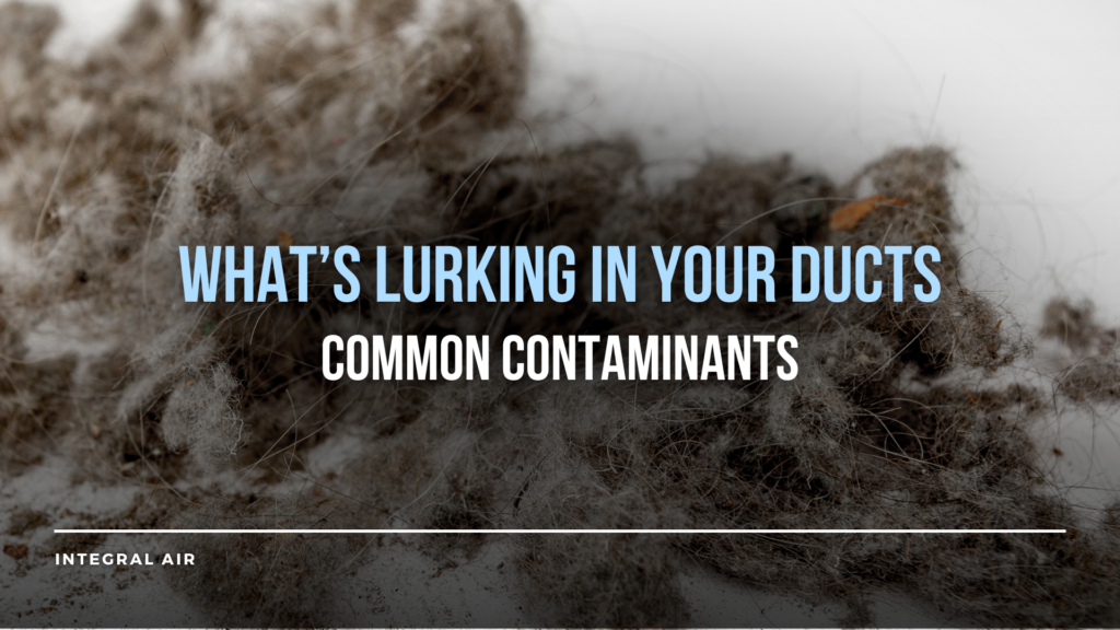 Common Contaminants in Vents