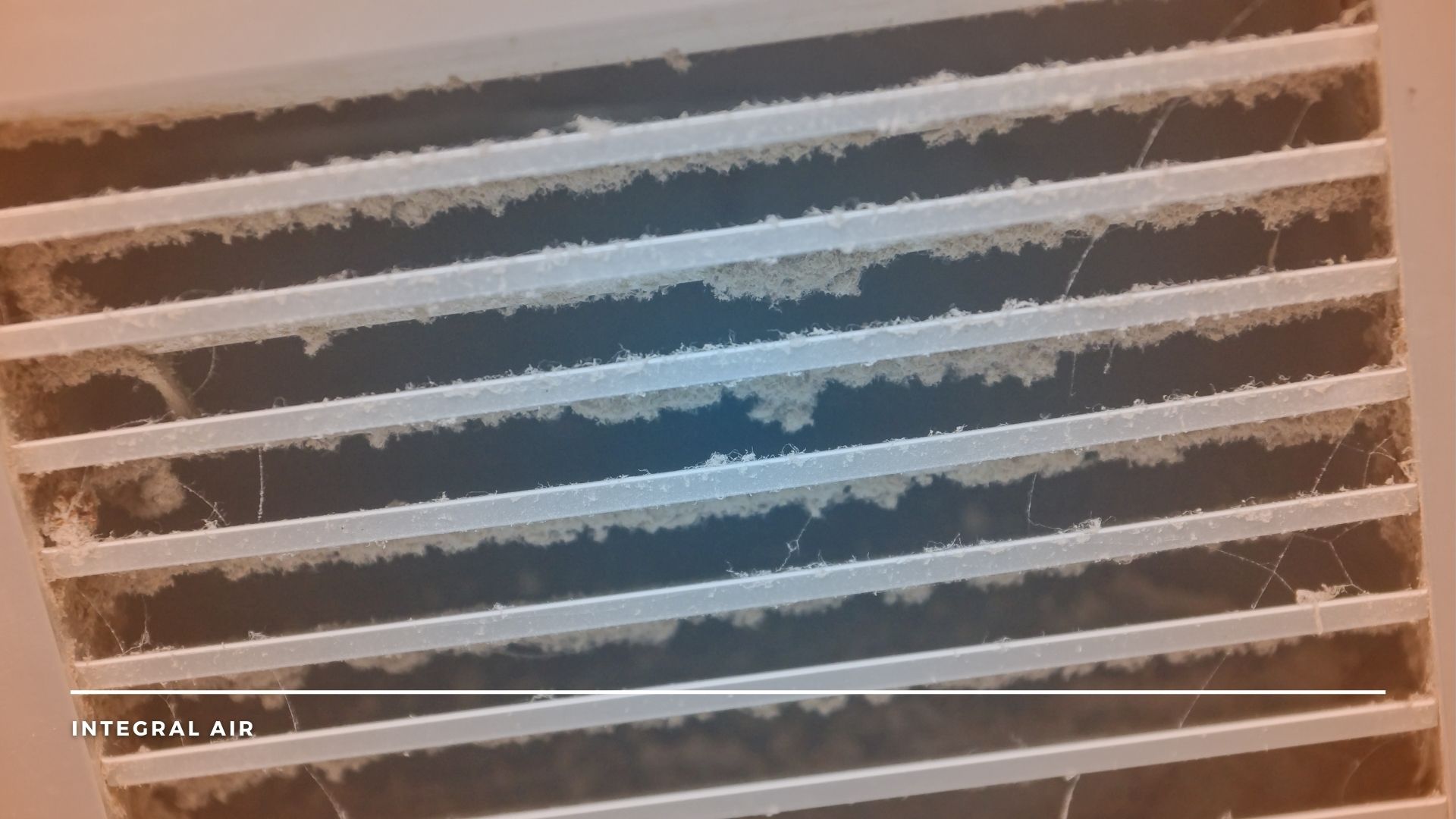 where to get my ducts cleaned in edmonton