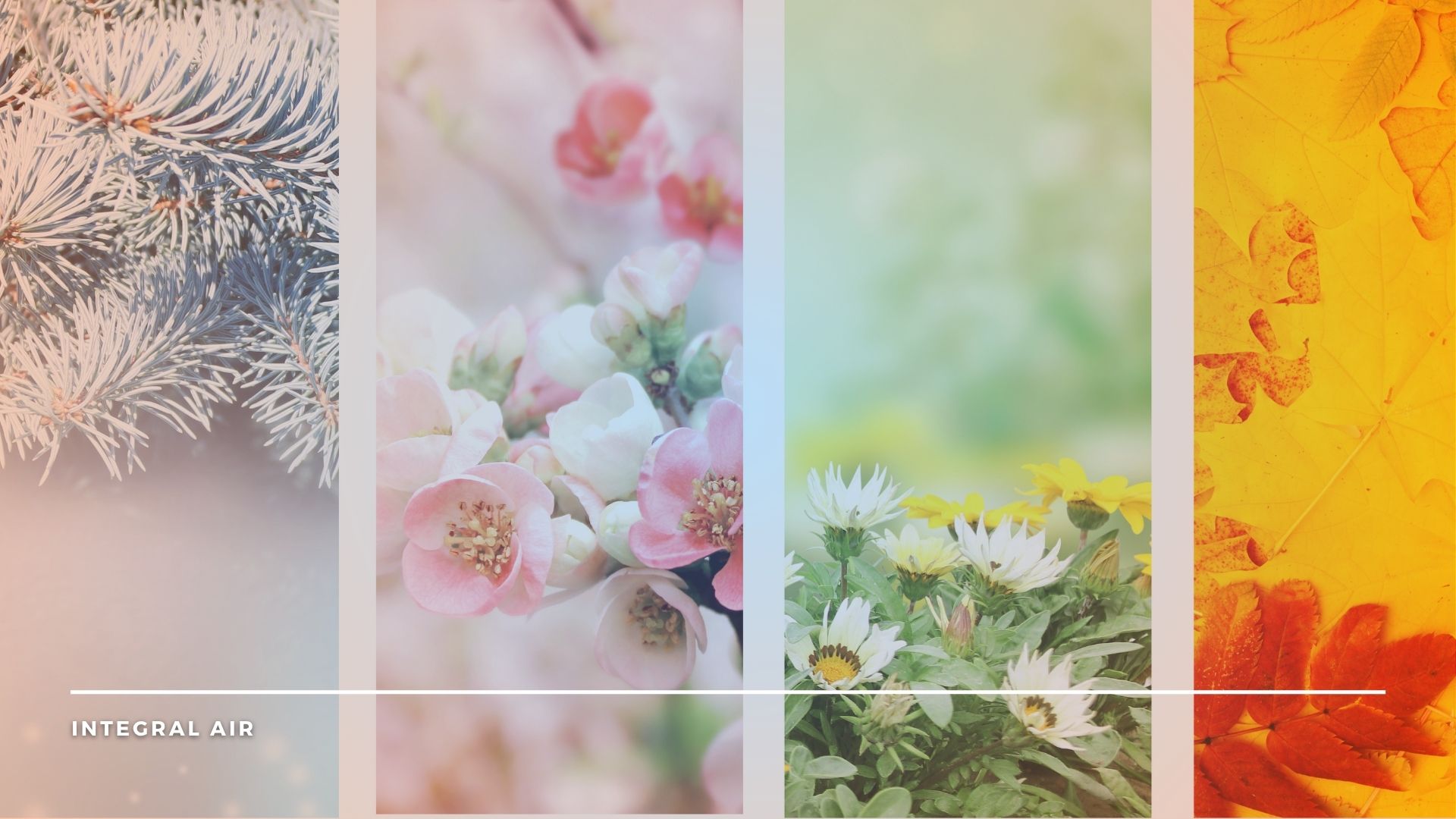 duct cleaning for property management companies