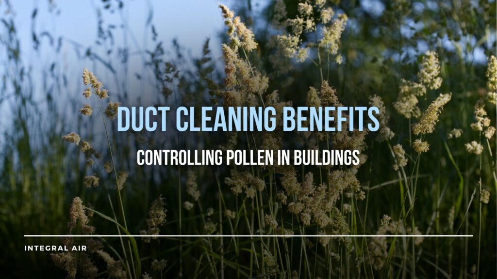 pollen cleaning